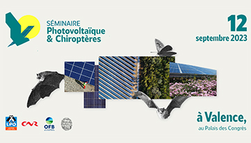 Participez au séminaire "Photovoltaïque et Chiroptères "